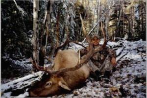 elk-hunting-31.jpg