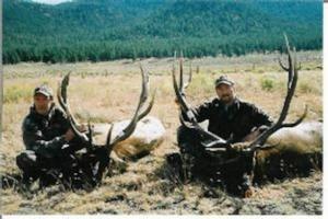 elk-hunting-35.jpg