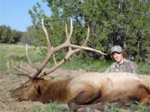 elk-hunting-41.jpg