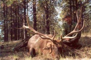 elk-hunting-42.jpg