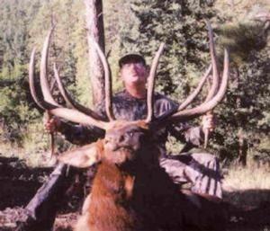 elk-hunting-43.jpg