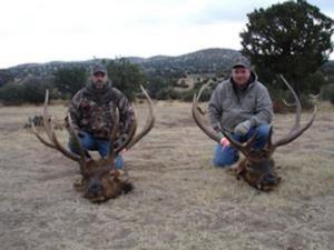 elk-hunting-52.jpg