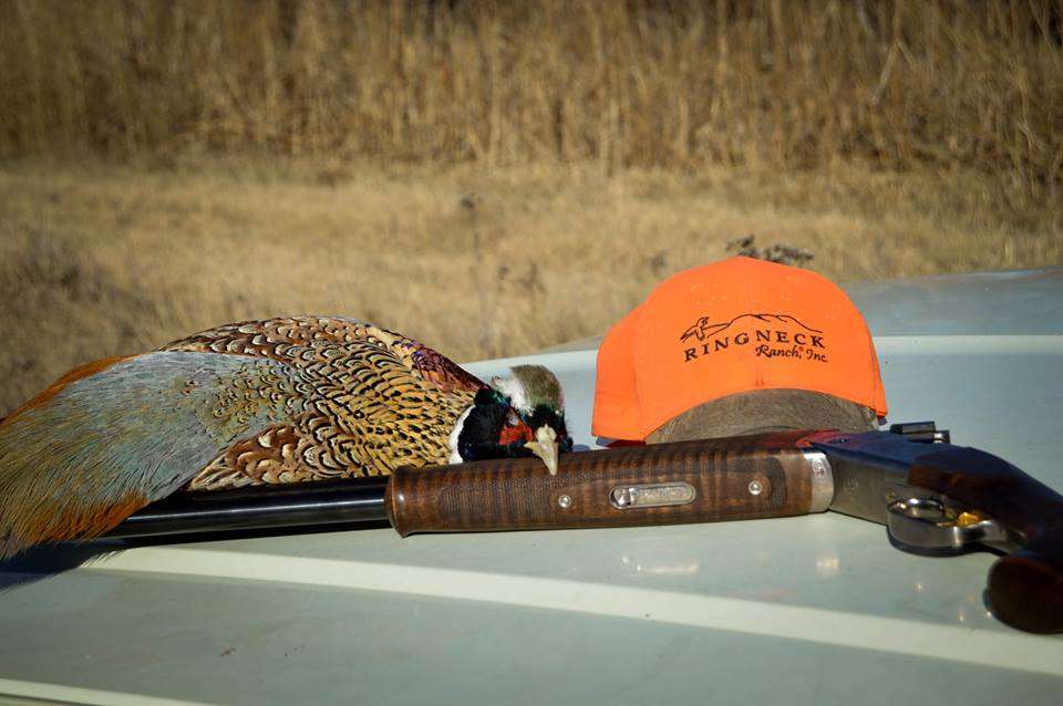 Pheasant Hunting Equipment