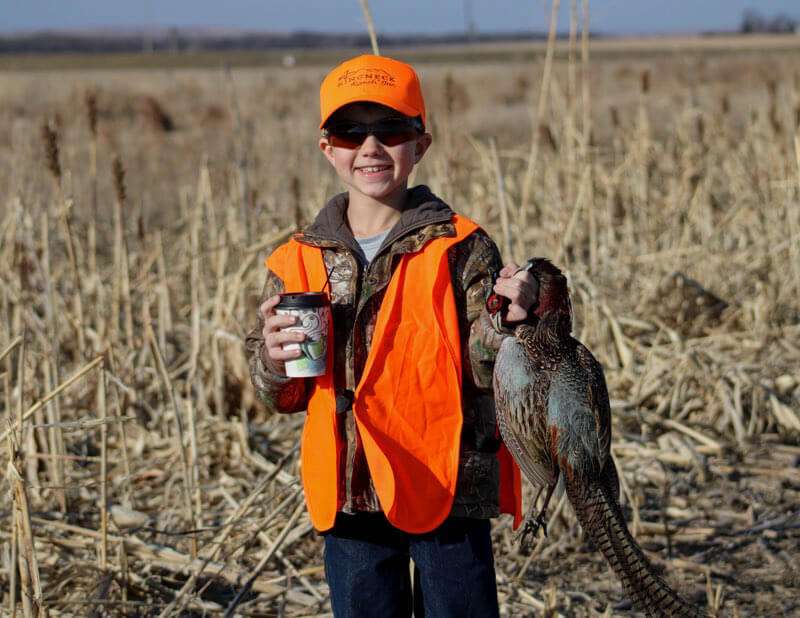 Day Hunts for Pheasant