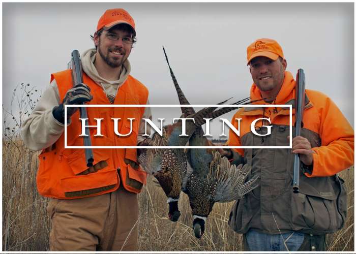 Hunt with Ringneck Ranch