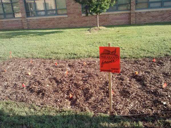 Local Habitat Efforts