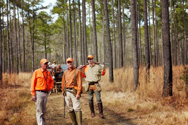 South Carolina Quail Hunting Outfitter