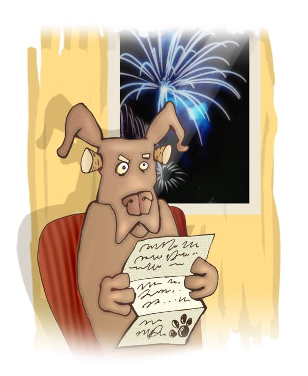 Why Are Dogs Scared of Fireworks?  11 Things You Should Know.