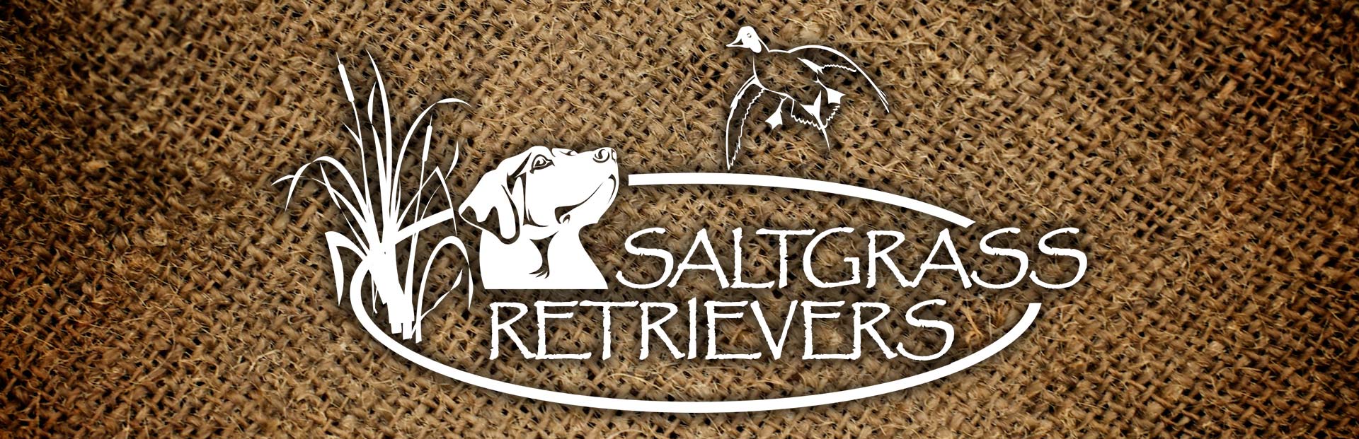 Link to Saltgrass Retrievers