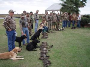 retriever-dog-training-texas-14.jpg