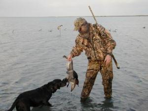 retriever-dog-training-texas-18.jpg