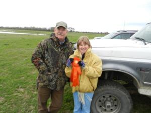 retriever-dog-training-texas-24.jpg