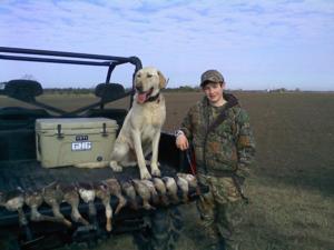 retriever-dog-training-texas-30.jpg