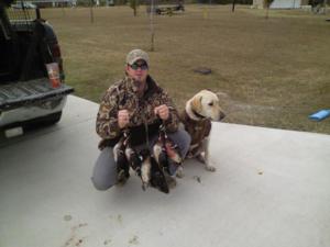 retriever-dog-training-texas-31.jpg