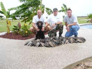 retriever-dog-training-texas-50.JPG