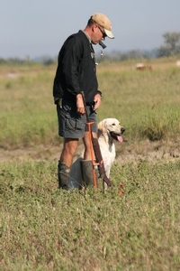 texas-dog-training-3.jpg