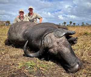 cape-buffalo.jpg