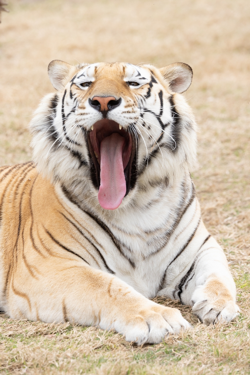 Wildlife Photography Ranch in Texas