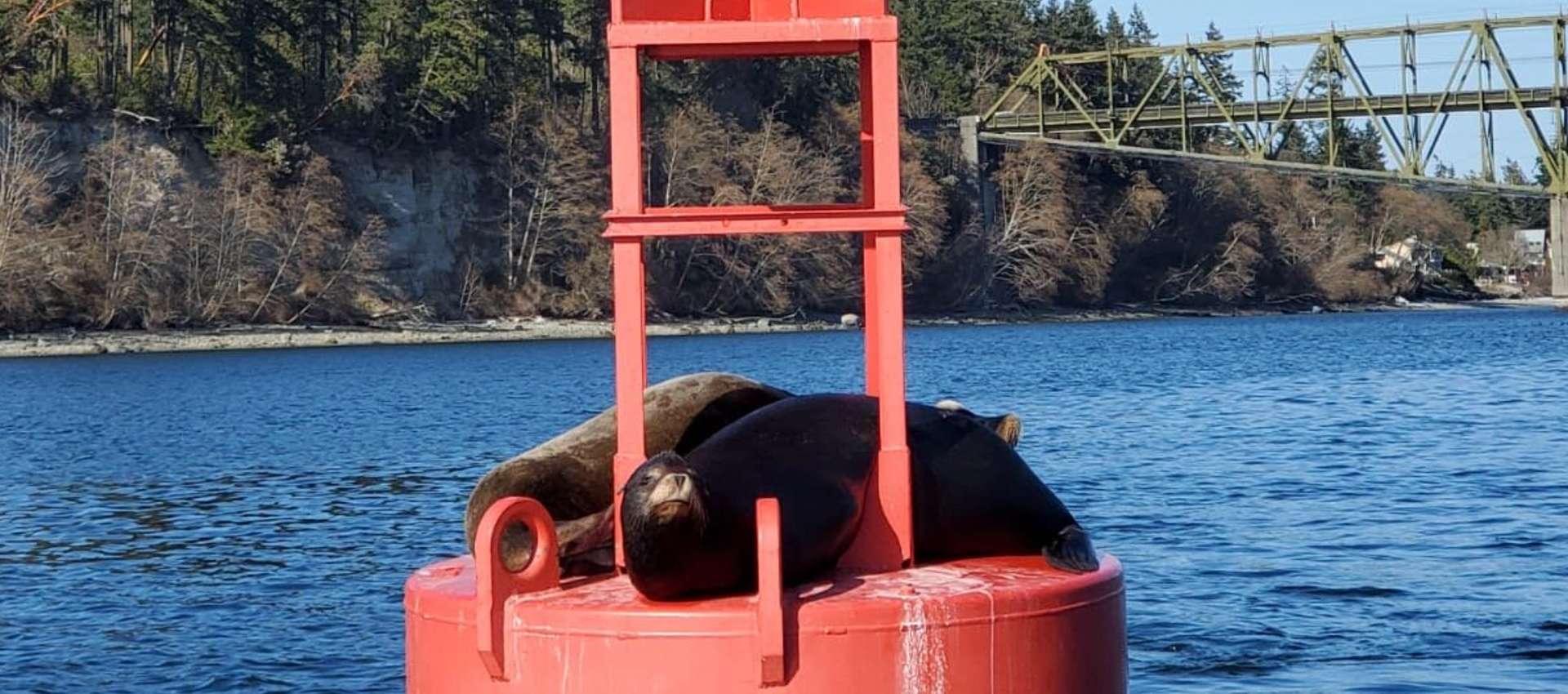 Seattle Sightseeing Boat Tours