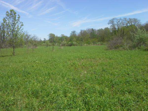 Our Local Habitat Projects