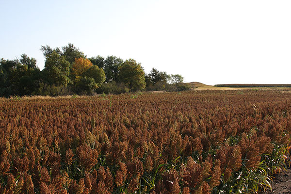 Protect Farmland, protect water quality & create habit