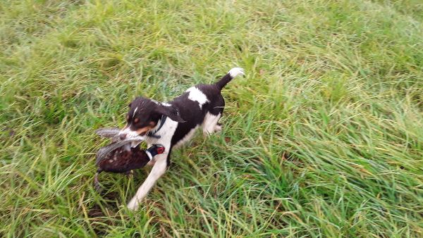 2019 Youth Upland Hunt