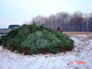 Trees%20Habitat%20%2814%29.JPG