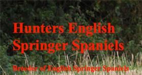 huntersenglishspringerspaniels.jpg