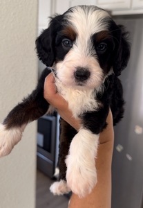 Jack 