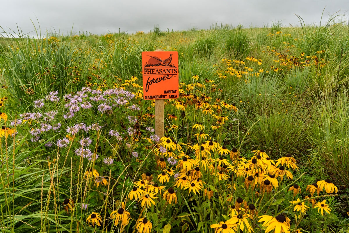 Habitat Projects