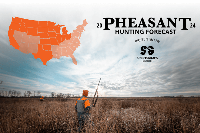 2024 Iowa Pheasant Outlook