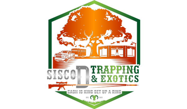 Sisco D Trapping & Exotics