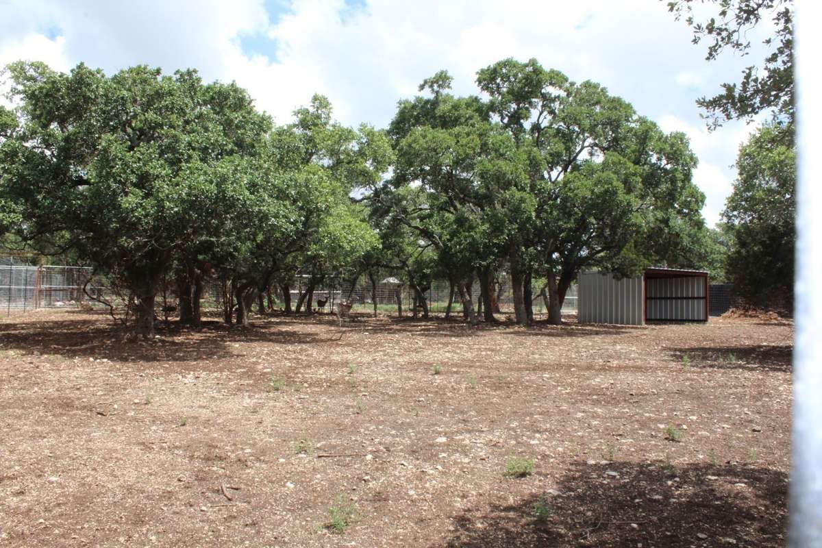 Fallow Deer Pen