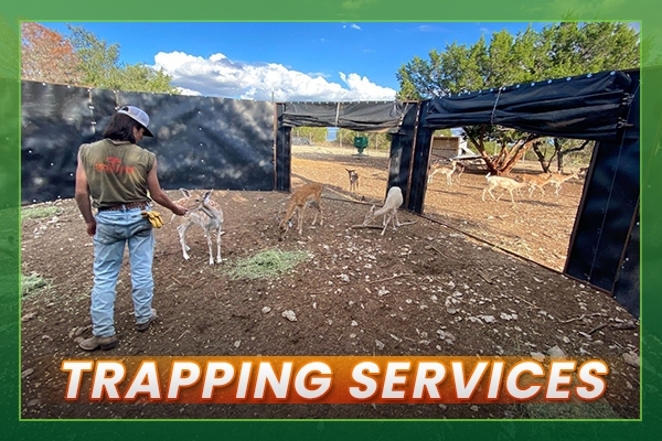 Trapping Services