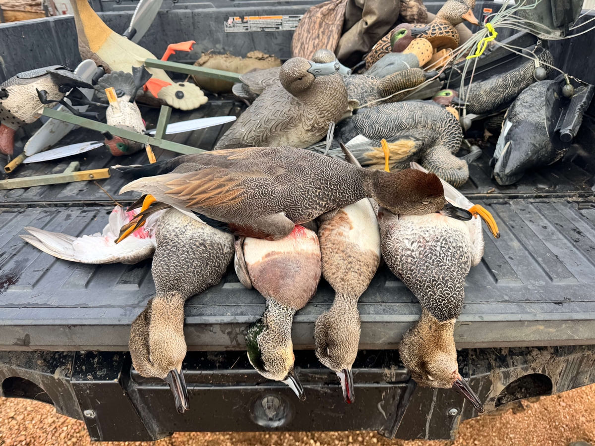 Duck Hunting