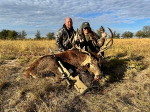 Red Stag Hunts