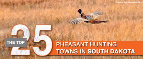 Hoven Listed as one of top 25 towns to pheasant hunt in Hoven Listed as one of top 25 towns to pheasant hunt in