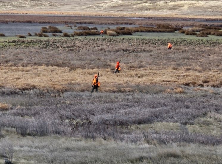 Book Your Pheasant Hunt