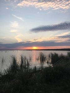 54C8F6D8-86FA-4B7B-AAD7-E8B0F278FA70.jpeg