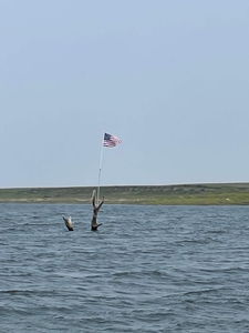 IMG_0464.jpg