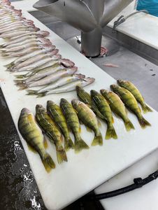IMG_0478.jpg