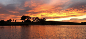 IMG_0665.PNG
