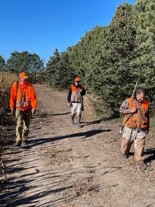 IMG_0838.jpg