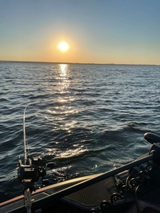 IMG_2058.jpg