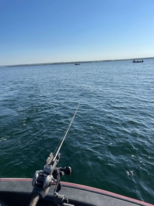 IMG_2060.jpg