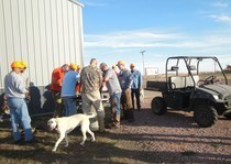 Pheasant-Hunts-33.jpg
