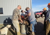 Pheasant-Hunts-34.jpg