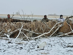 snow-goose-hunting.jpeg
