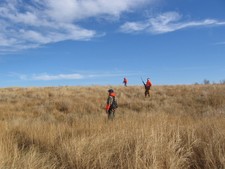 Walking CRP