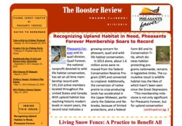 Newsletter - Volume 7, Issue 1